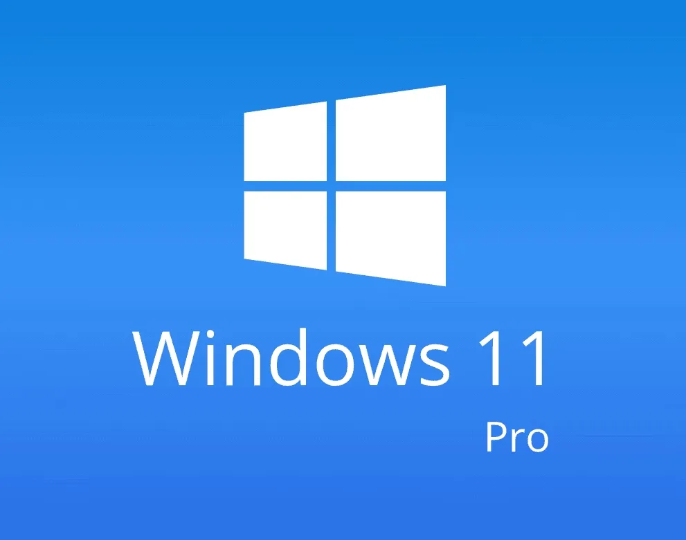 Windows 11 Professional - Windows 11 Professional