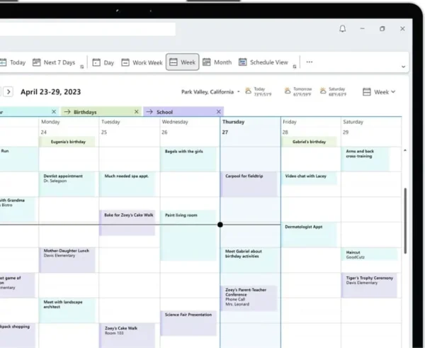 Office 2021 Professional Plus for Windows - Outlook calendar and email